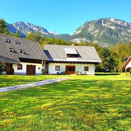 Apartmaji Zupanc Ivanka Bohinj Bagian luar foto